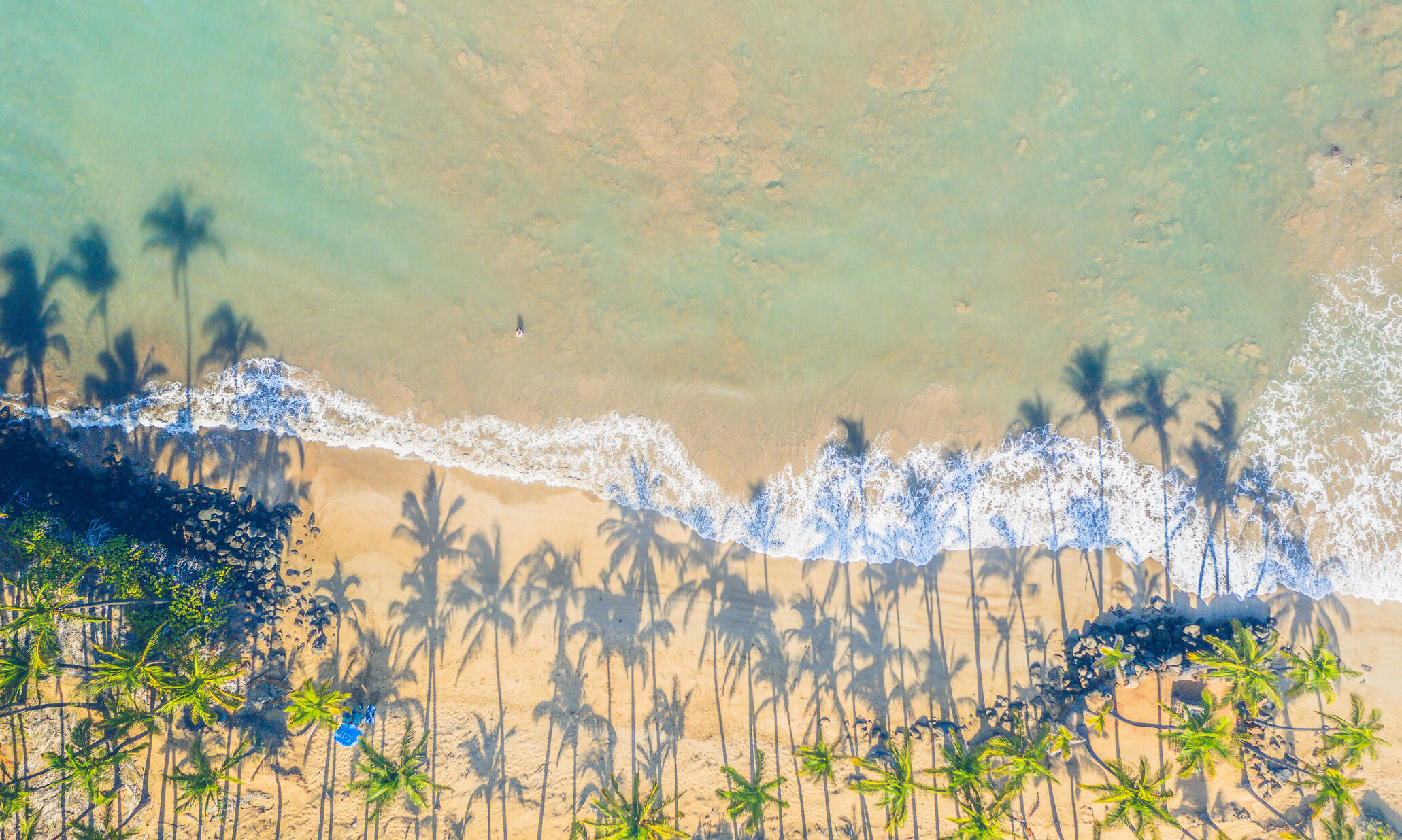 Aerial view of a Hawaiian beach with palm trees